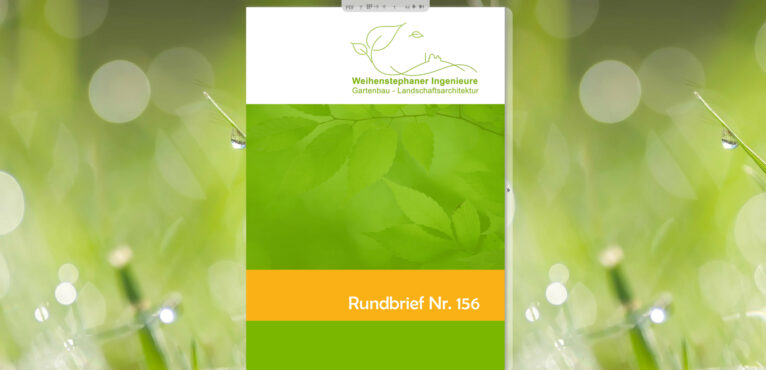Rundbrief Nr. 156 ist online!